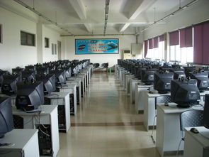 06級測控技術與儀器專業(yè)學雷鋒活動總結